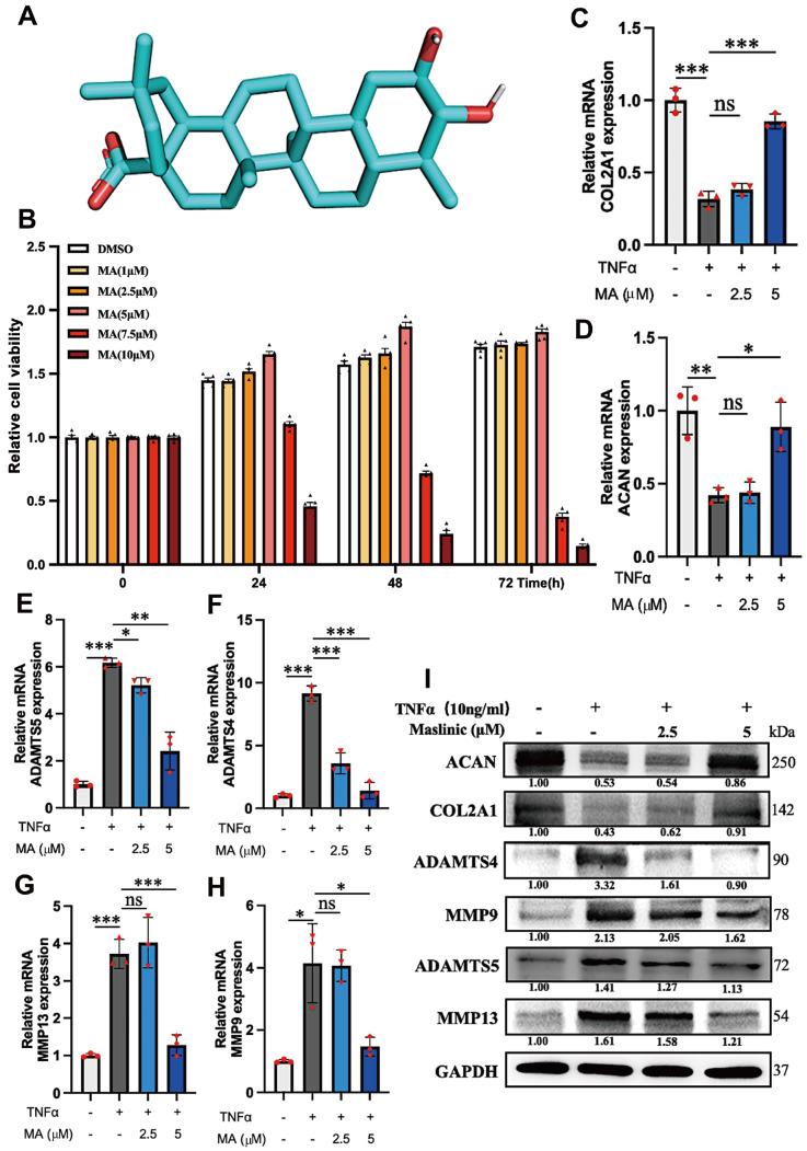 https://cdn.ncbi.nlm.nih.gov/pmc/blobs/6e82/11187486/0b0b0c859f42/ABBS-2023-537-t1.jpg