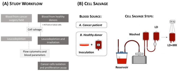 https://cdn.ncbi.nlm.nih.gov/pmc/blobs/6e87/10299373/cb3f746d03d2/jcm-12-04088-g001.jpg