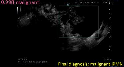 https://cdn.ncbi.nlm.nih.gov/pmc/blobs/6e87/10312781/7536075ed2ed/DEO2-4-e267-g002.jpg