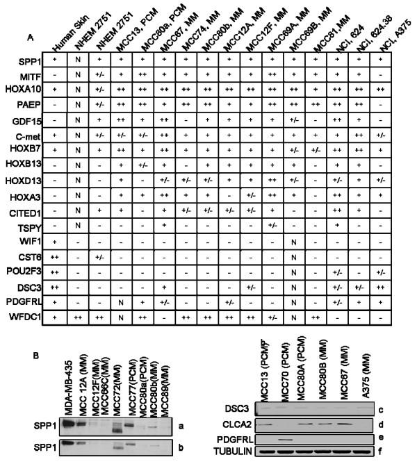 https://cdn.ncbi.nlm.nih.gov/pmc/blobs/6e87/2408576/373bd1c63903/1755-8794-1-13-3.jpg