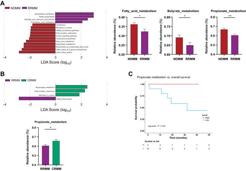 https://cdn.ncbi.nlm.nih.gov/pmc/blobs/6e88/10870002/7fabdfc3e27c/904fig5.jpg