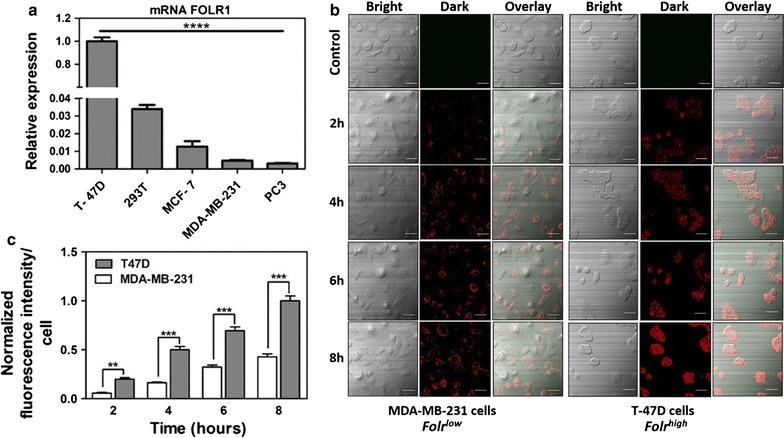 https://cdn.ncbi.nlm.nih.gov/pmc/blobs/6e88/5863469/a829f52358ab/12951_2018_359_Fig5_HTML.jpg