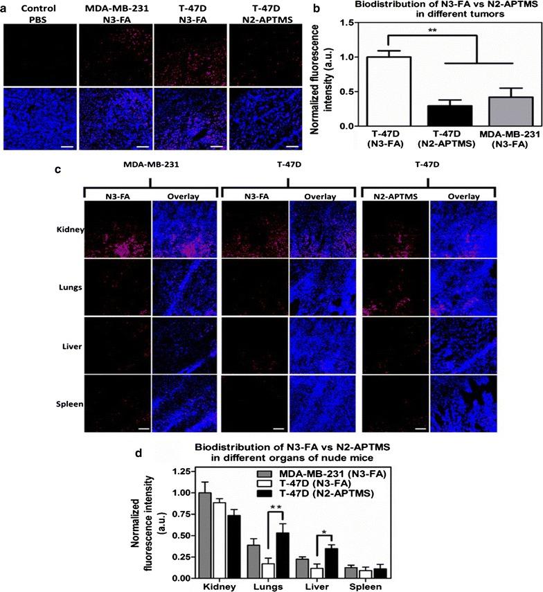 https://cdn.ncbi.nlm.nih.gov/pmc/blobs/6e88/5863469/d05cc5fb0c6f/12951_2018_359_Fig7_HTML.jpg