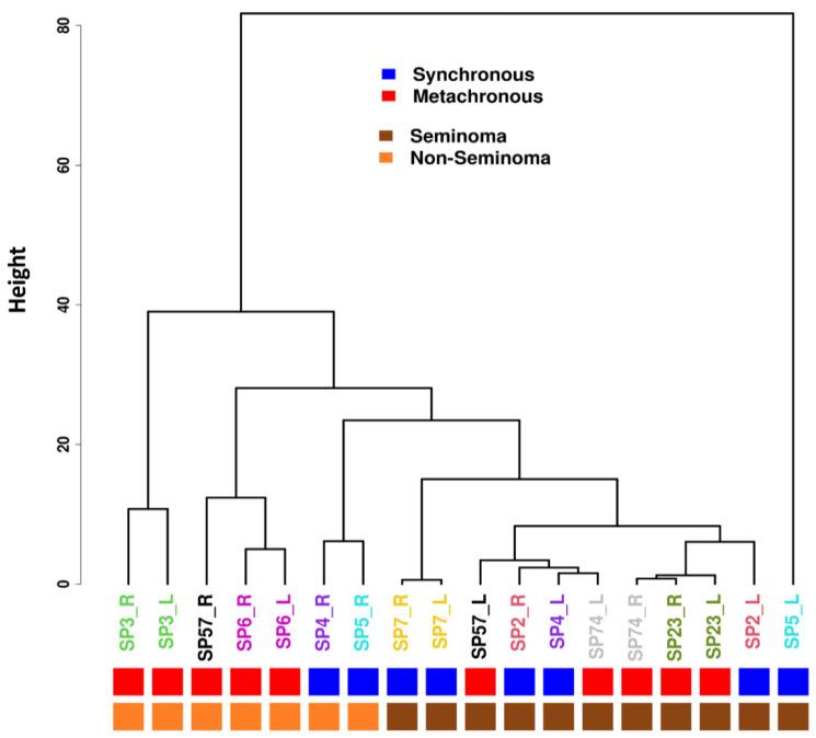https://cdn.ncbi.nlm.nih.gov/pmc/blobs/6e8a/12071550/660085fcb89d/cells-14-00658-g002.jpg
