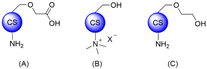 https://cdn.ncbi.nlm.nih.gov/pmc/blobs/6e8a/8659004/662176a5d967/polymers-13-04118-g003.jpg