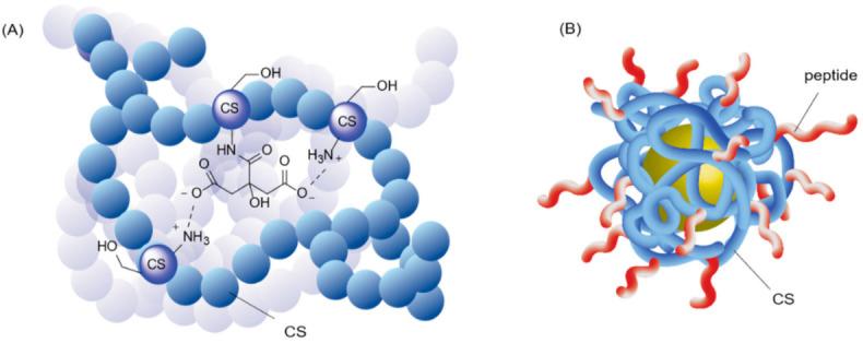 https://cdn.ncbi.nlm.nih.gov/pmc/blobs/6e8a/8659004/775ef03b9a32/polymers-13-04118-g009.jpg