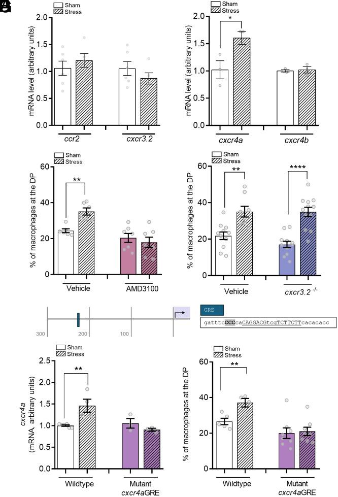 https://cdn.ncbi.nlm.nih.gov/pmc/blobs/6e8c/12403131/a76c6f26ca4b/pnas.2511358122fig03.jpg