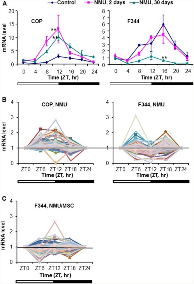 https://cdn.ncbi.nlm.nih.gov/pmc/blobs/6e8c/5464825/5b868408d2a0/oncotarget-08-32752-g003.jpg