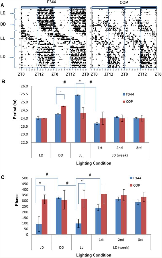 https://cdn.ncbi.nlm.nih.gov/pmc/blobs/6e8c/5464825/94f7fb5faab0/oncotarget-08-32752-g005.jpg