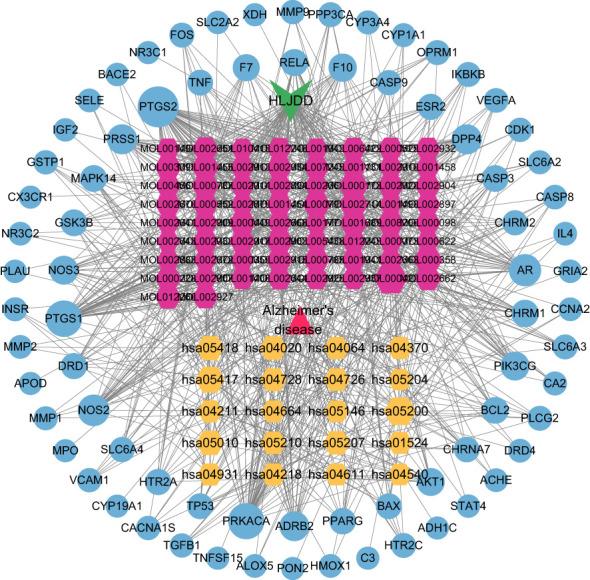 https://cdn.ncbi.nlm.nih.gov/pmc/blobs/6e90/10060893/2d7b9ac27d43/fcimb-13-1140945-g007.jpg