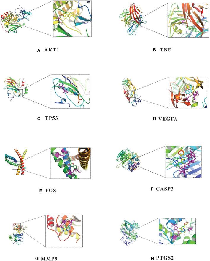 https://cdn.ncbi.nlm.nih.gov/pmc/blobs/6e90/10060893/f1d04d916644/fcimb-13-1140945-g009.jpg