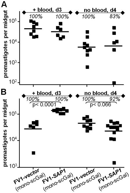 https://cdn.ncbi.nlm.nih.gov/pmc/blobs/6e90/2978724/353073a12946/ppat.1001185.g005.jpg