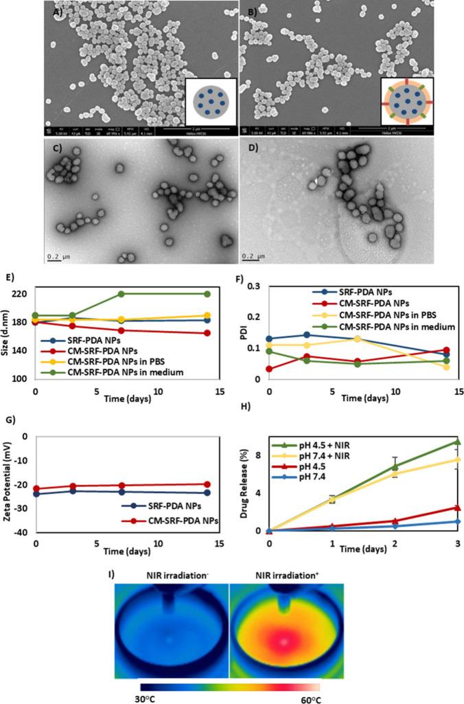 https://cdn.ncbi.nlm.nih.gov/pmc/blobs/6e94/11310915/a6908f50443b/am4c08491_0001.jpg