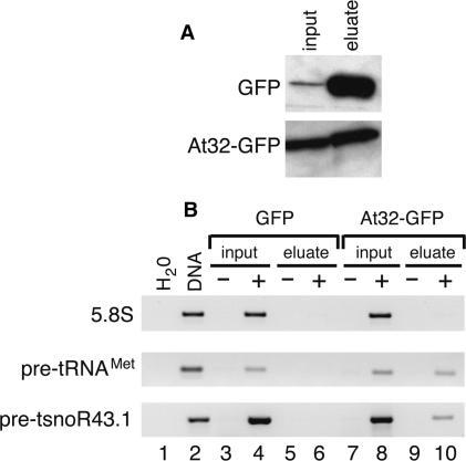 https://cdn.ncbi.nlm.nih.gov/pmc/blobs/6e94/1904278/4ac93fe1de9b/gkm200f4.jpg