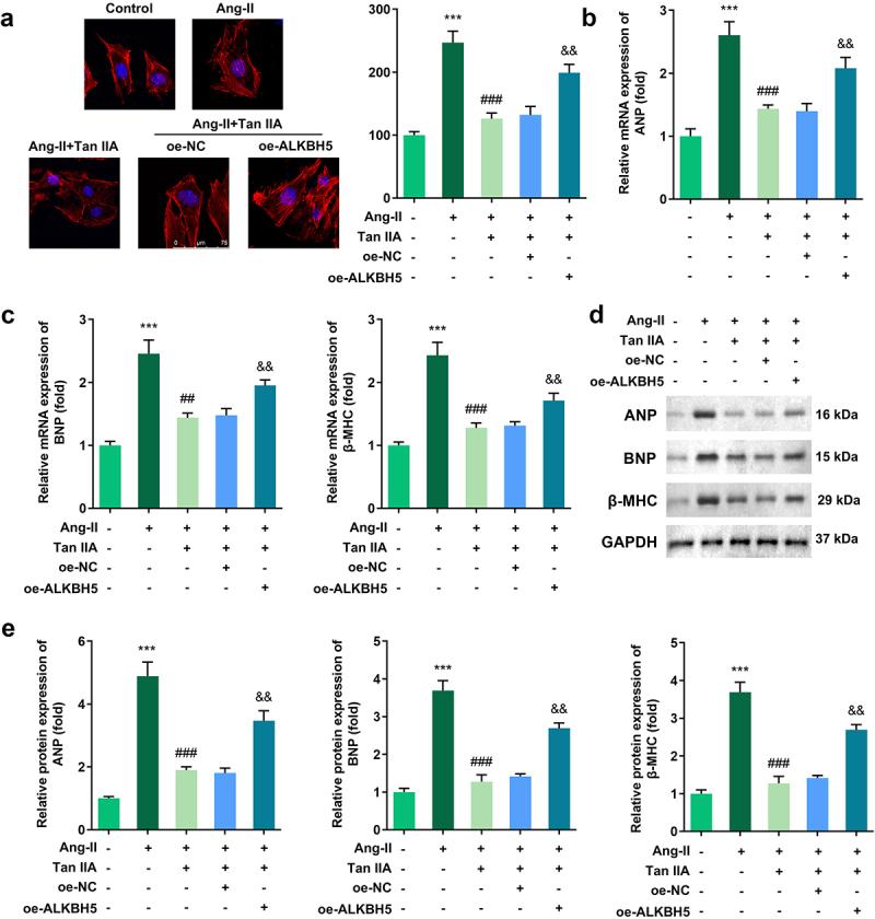 https://cdn.ncbi.nlm.nih.gov/pmc/blobs/6e95/8973617/a2b0df3914ab/KBIE_A_2031388_F0006_OC.jpg