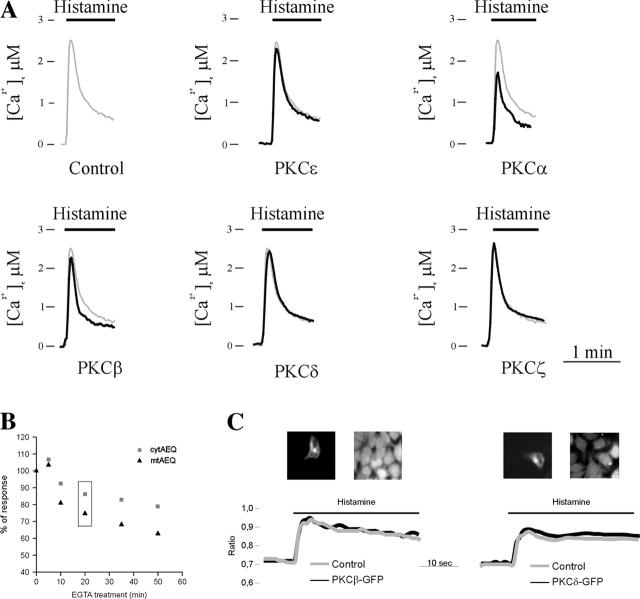 https://cdn.ncbi.nlm.nih.gov/pmc/blobs/6e99/2172040/3ba78bf934e1/200311061f3.jpg
