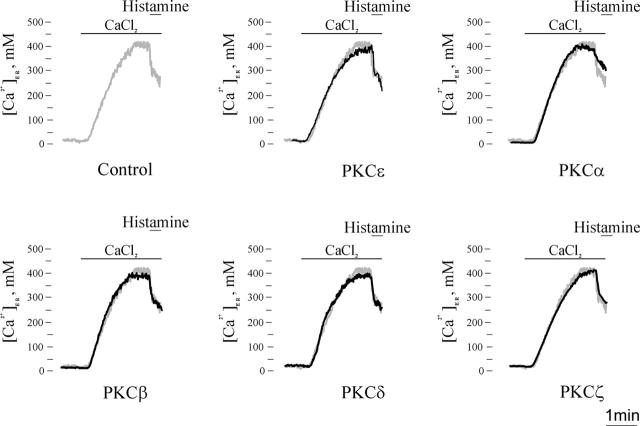 https://cdn.ncbi.nlm.nih.gov/pmc/blobs/6e99/2172040/687893fa41c6/200311061f4.jpg