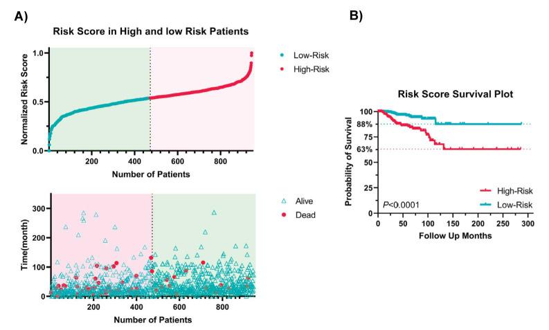 https://cdn.ncbi.nlm.nih.gov/pmc/blobs/6e9a/11682528/596013c4dde8/IJB-22-e3853-g002.jpg