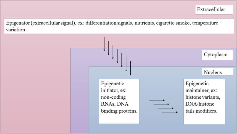 https://cdn.ncbi.nlm.nih.gov/pmc/blobs/6e9d/7353744/d65aa75bef22/13148_2020_896_Fig2_HTML.jpg