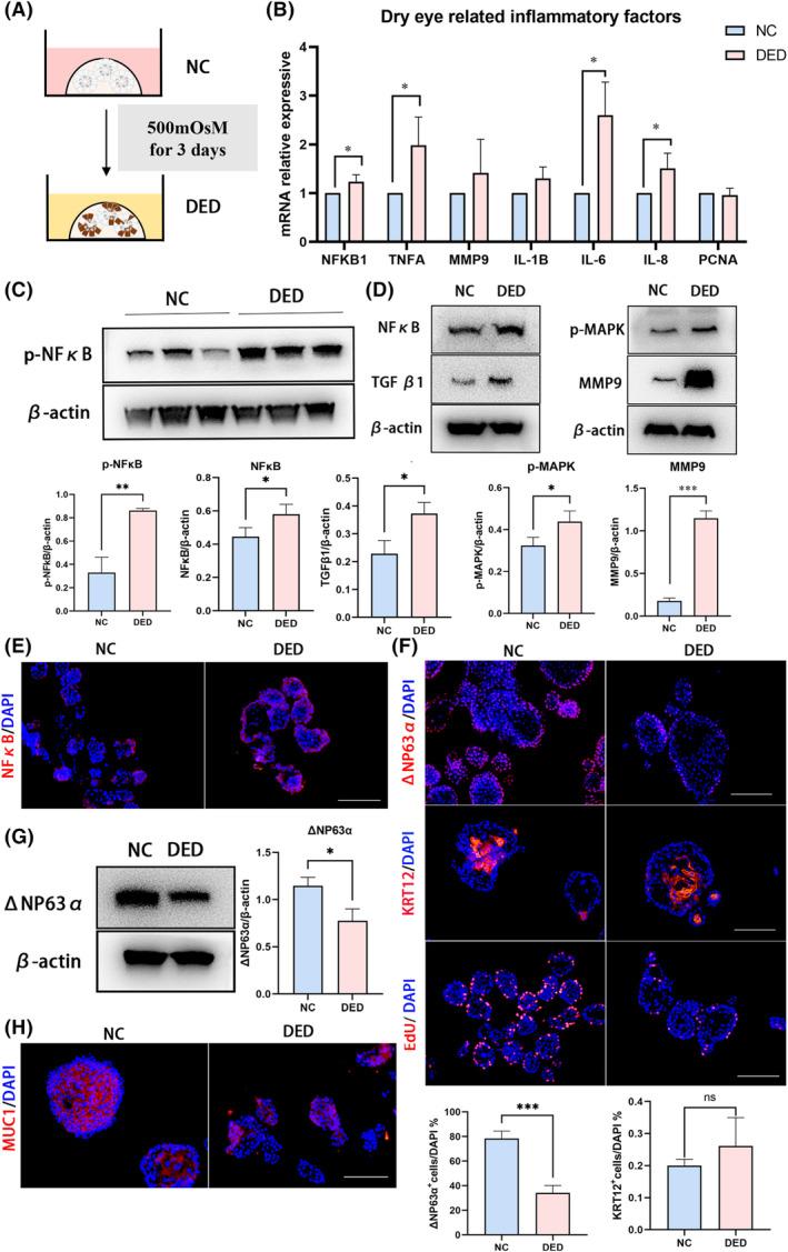 https://cdn.ncbi.nlm.nih.gov/pmc/blobs/6e9e/11533071/7d90bd7ead55/CPR-57-e13704-g005.jpg
