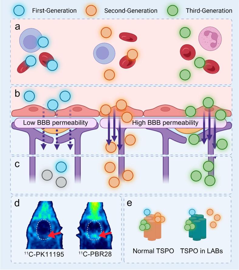 https://cdn.ncbi.nlm.nih.gov/pmc/blobs/6e9e/12369204/28813752311d/42494_2025_234_Fig2_HTML.jpg