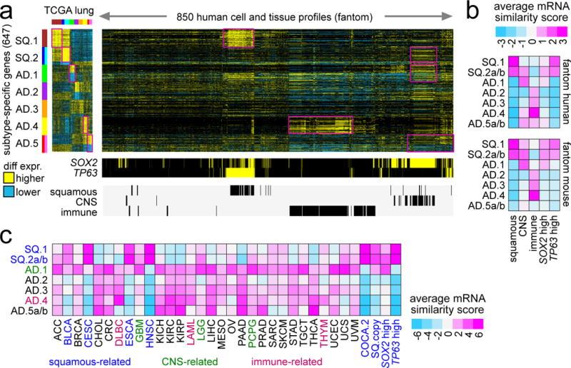 https://cdn.ncbi.nlm.nih.gov/pmc/blobs/6e9e/5344748/191ddf6a03f3/nihms804251f2.jpg