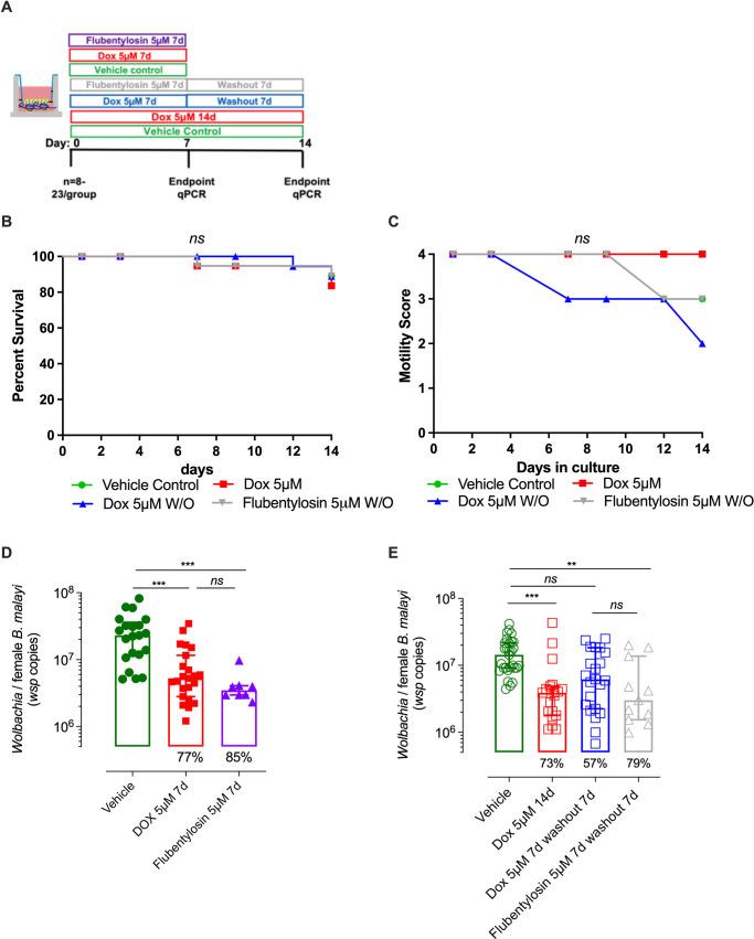 https://cdn.ncbi.nlm.nih.gov/pmc/blobs/6ea0/9205518/d5c6c75f2941/pntd.0010474.g005.jpg