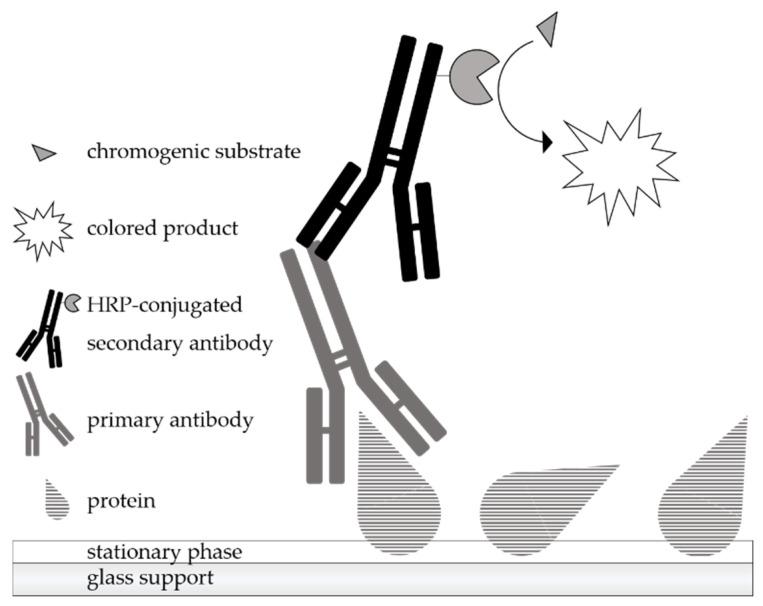 https://cdn.ncbi.nlm.nih.gov/pmc/blobs/6ea1/8036266/08b7dc9e55a1/molecules-26-01842-g001.jpg
