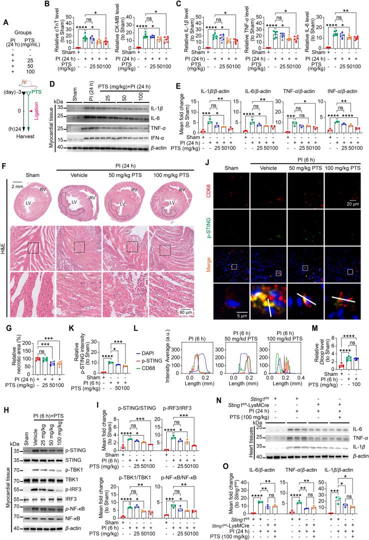 https://cdn.ncbi.nlm.nih.gov/pmc/blobs/6ea2/12399207/2ecc8eb875b7/gr5.jpg
