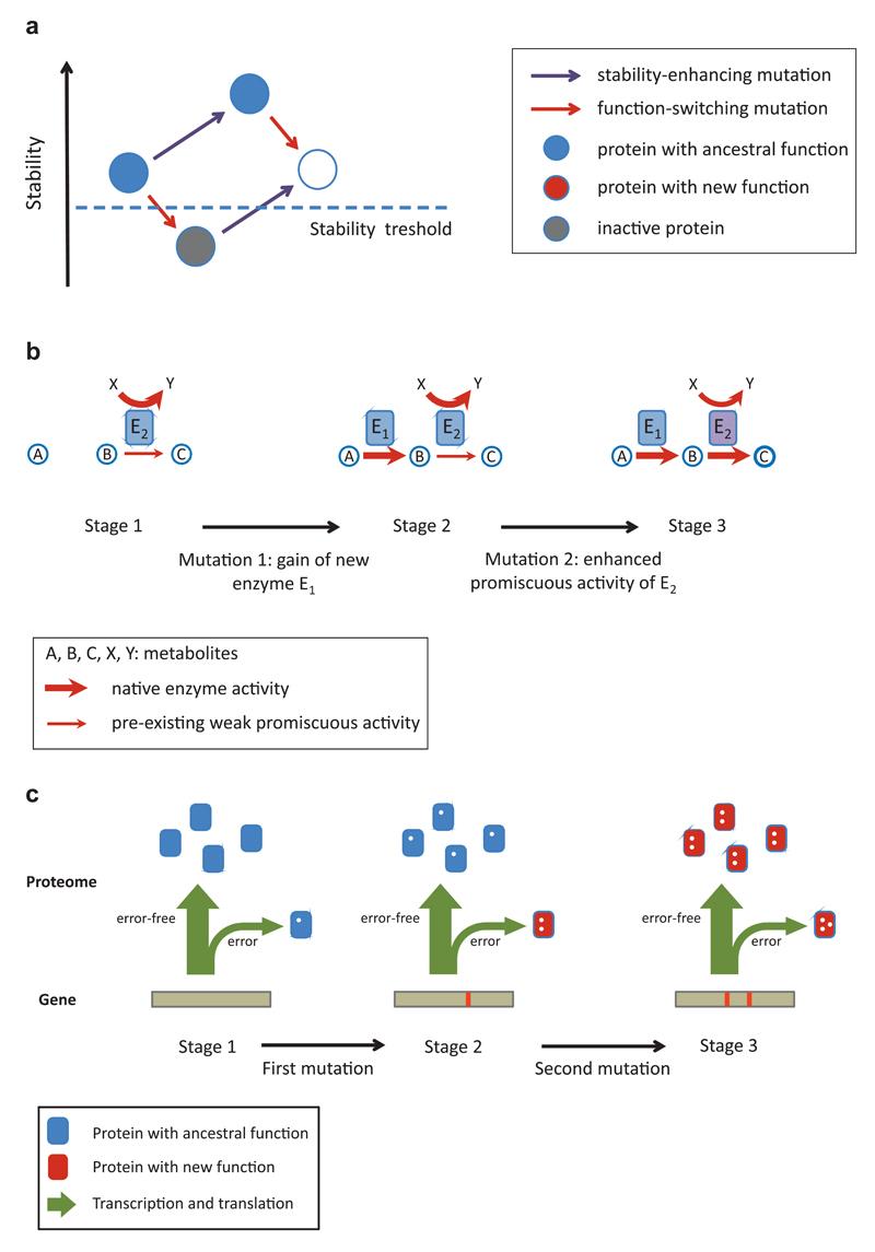 https://cdn.ncbi.nlm.nih.gov/pmc/blobs/6ea2/5540182/74e3138b9bd2/emss-72937-f004.jpg