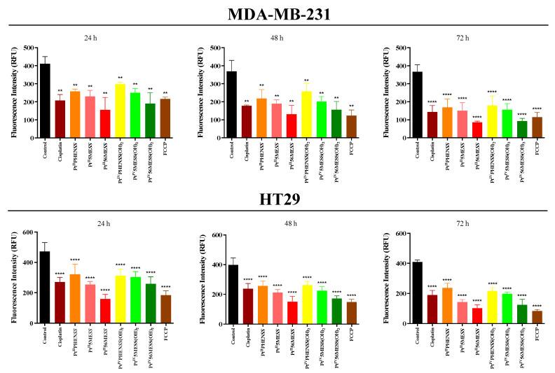 https://cdn.ncbi.nlm.nih.gov/pmc/blobs/6ea5/11274883/0423b21c202f/cancers-16-02544-g009.jpg