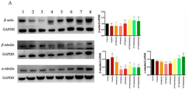 https://cdn.ncbi.nlm.nih.gov/pmc/blobs/6ea5/11274883/0fd8188b9817/cancers-16-02544-g012a.jpg