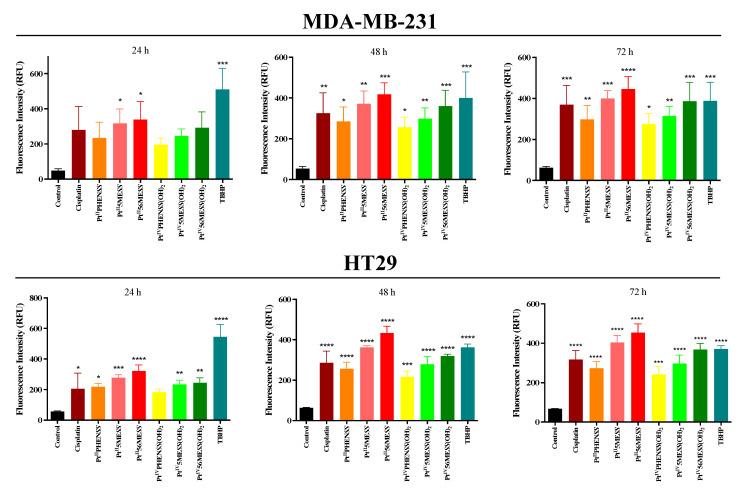 https://cdn.ncbi.nlm.nih.gov/pmc/blobs/6ea5/11274883/66340e7cd977/cancers-16-02544-g008.jpg