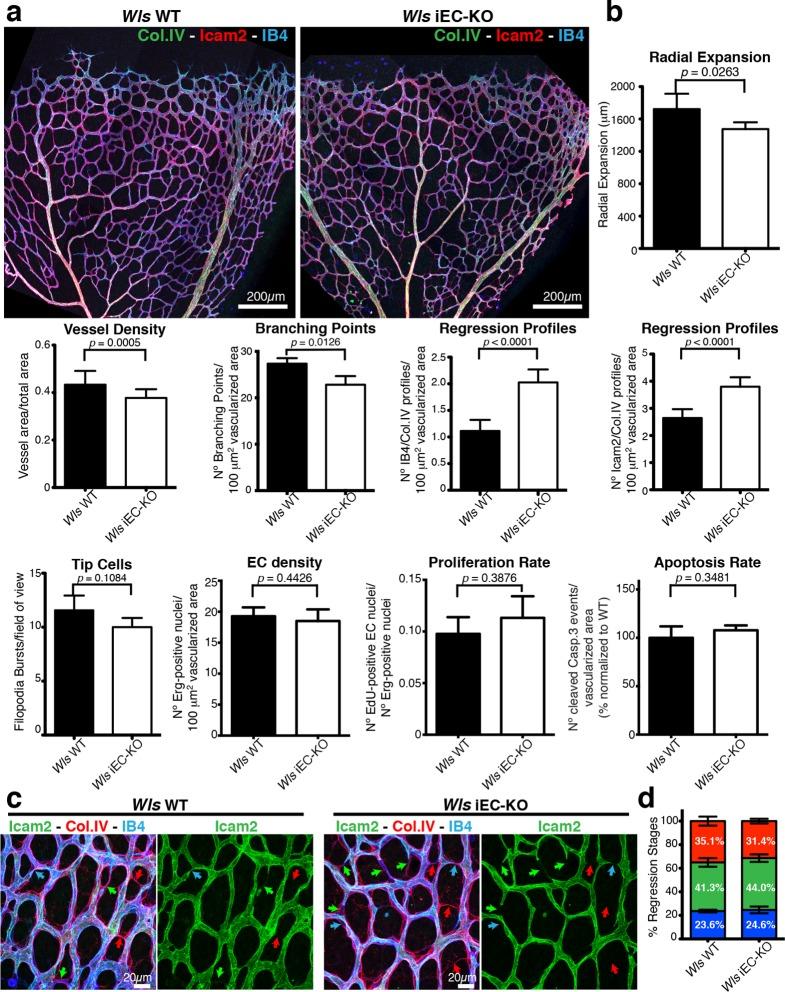https://cdn.ncbi.nlm.nih.gov/pmc/blobs/6ea5/4798962/4cc526981128/elife-07727-fig1.jpg