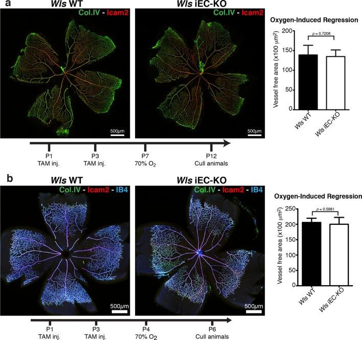 https://cdn.ncbi.nlm.nih.gov/pmc/blobs/6ea5/4798962/c0c50c391a05/elife-07727-fig2.jpg