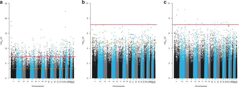https://cdn.ncbi.nlm.nih.gov/pmc/blobs/6ea5/6625976/cf816e3ce6f8/41467_2019_11058_Fig2_HTML.jpg