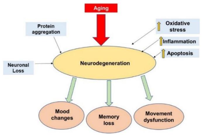 https://cdn.ncbi.nlm.nih.gov/pmc/blobs/6ea5/9183194/5462bef2b1cc/nutrients-14-02228-g002.jpg
