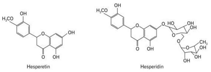 https://cdn.ncbi.nlm.nih.gov/pmc/blobs/6ea5/9183194/aa3196d2a5d4/nutrients-14-02228-g005.jpg