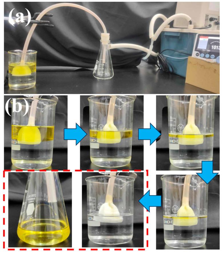 https://cdn.ncbi.nlm.nih.gov/pmc/blobs/6ea7/10934135/a176c82cb26a/polymers-16-00693-g008.jpg