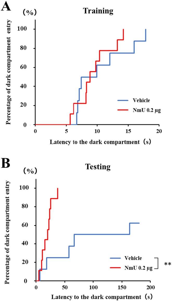 https://cdn.ncbi.nlm.nih.gov/pmc/blobs/6ea7/12022414/21695509a006/NPR2-45-e70018-g002.jpg