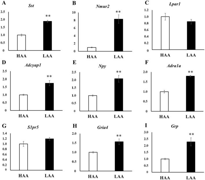 https://cdn.ncbi.nlm.nih.gov/pmc/blobs/6ea7/12022414/3cf2b3bf2a74/NPR2-45-e70018-g003.jpg