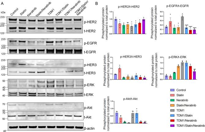 https://cdn.ncbi.nlm.nih.gov/pmc/blobs/6ea7/12081668/098c69c4c126/41598_2025_1947_Fig3_HTML.jpg