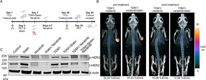 https://cdn.ncbi.nlm.nih.gov/pmc/blobs/6ea7/12081668/3c36fb0fce82/41598_2025_1947_Fig5_HTML.jpg