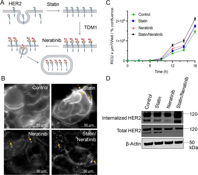 https://cdn.ncbi.nlm.nih.gov/pmc/blobs/6ea7/12081668/4d8900adb09e/41598_2025_1947_Fig2_HTML.jpg