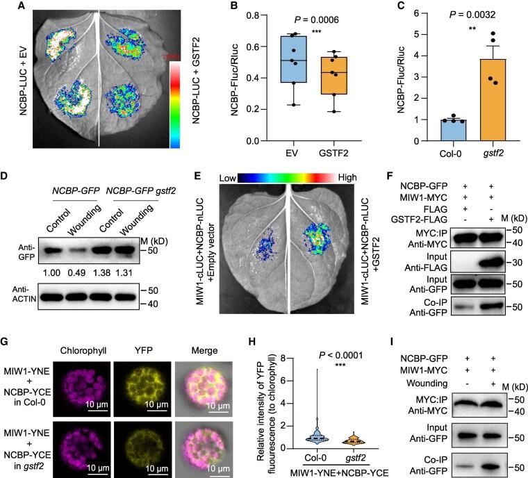 https://cdn.ncbi.nlm.nih.gov/pmc/blobs/6ea9/12366552/ea25025eb44f/koaf188f7.jpg
