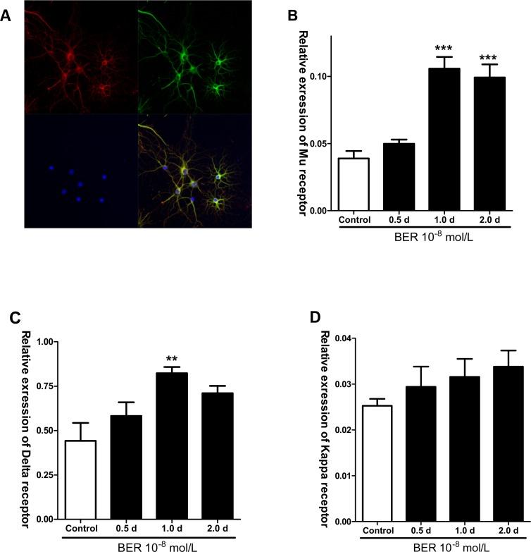 https://cdn.ncbi.nlm.nih.gov/pmc/blobs/6eaa/4689480/1acf8c29f2a5/pone.0145556.g005.jpg