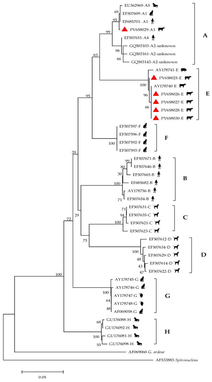 https://cdn.ncbi.nlm.nih.gov/pmc/blobs/6eab/12197627/6f783f941481/vetsci-12-00552-g003.jpg
