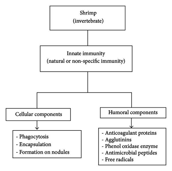 https://cdn.ncbi.nlm.nih.gov/pmc/blobs/6eab/3657448/e8ab687fe5bd/JPATH2013-424123.003.jpg