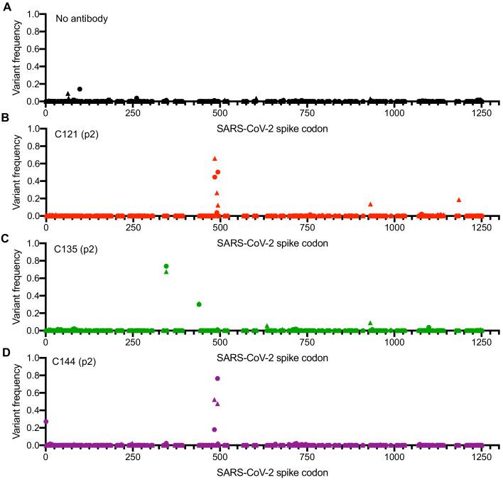 https://cdn.ncbi.nlm.nih.gov/pmc/blobs/6eaf/7723407/04fb5afbee07/elife-61312-fig2.jpg