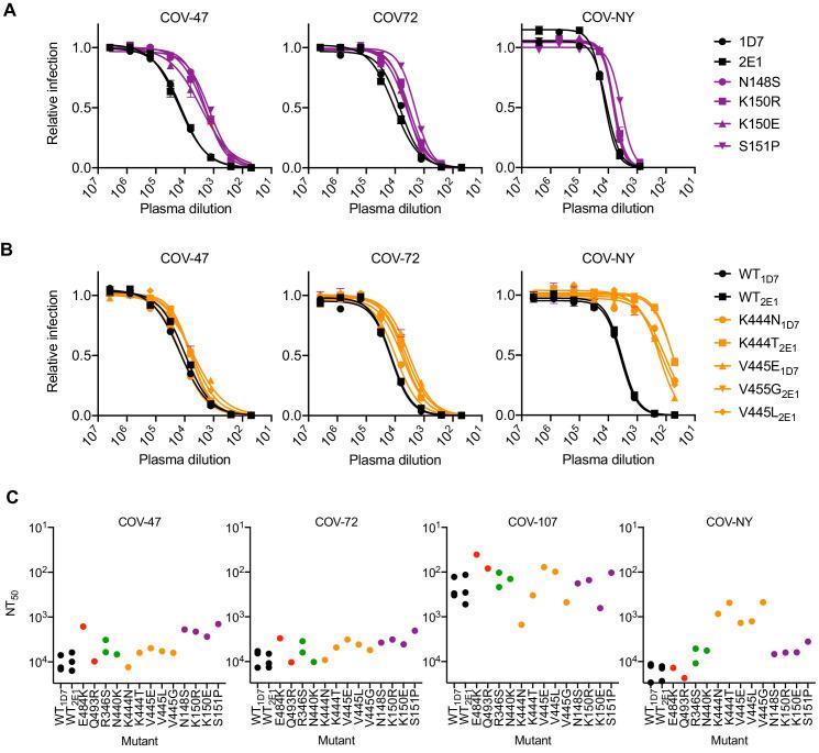 https://cdn.ncbi.nlm.nih.gov/pmc/blobs/6eaf/7723407/80af5c204189/elife-61312-fig6.jpg